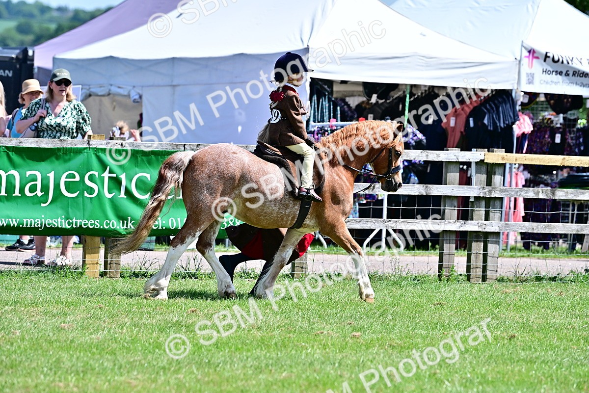 SBM_05755 - Class 59-60 - TSR M&M  Lear Rein and First Ridden Amateur of the year
