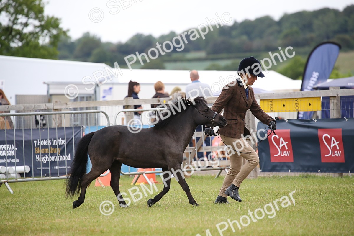SBM_03871 - Class 23-25 - British Miniature Horse of the Year