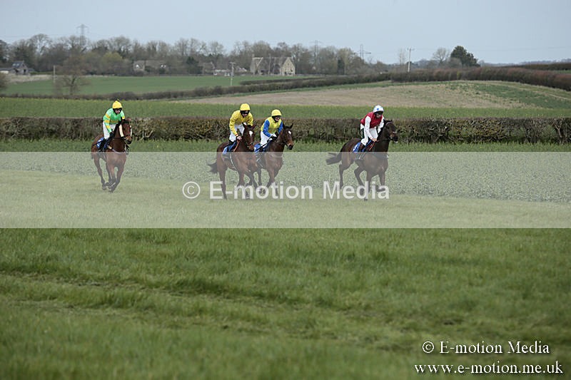 PtP 230319 5 - VWH Hunt Siddington Point-to-Point Racing 23/03/19