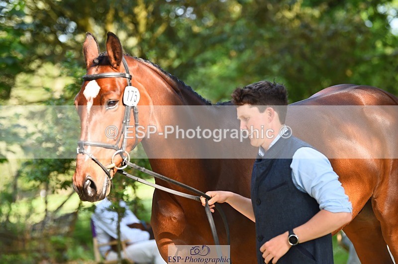 230524-172136-01464 - 175-MONBEG_EQUITY-Tom_McEwen-WEDTrotUp+DR