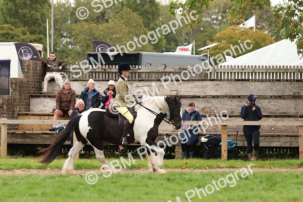 SBM_64504 - S58 - Coloured Pony Ridden