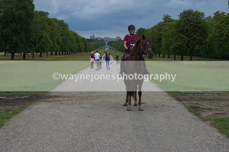 TT3_9375 - Time at Crossing 11:28 to 13:16