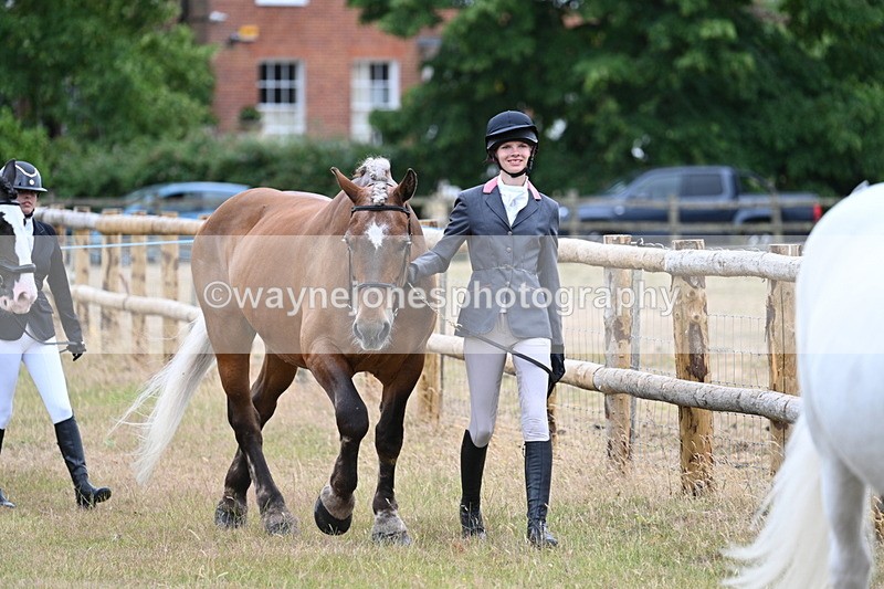 WJ7_9076 - Class 4a Prettiest Mare 14.2hh and over