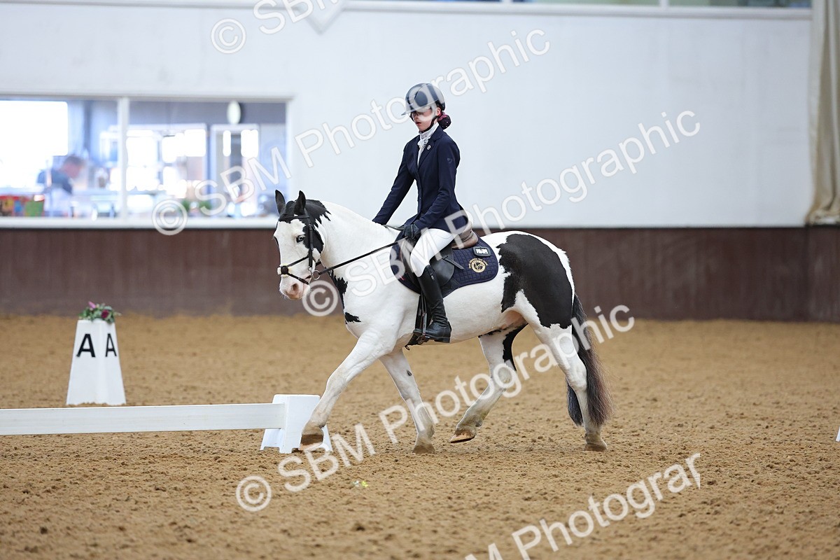 SBM_003067 - Novice