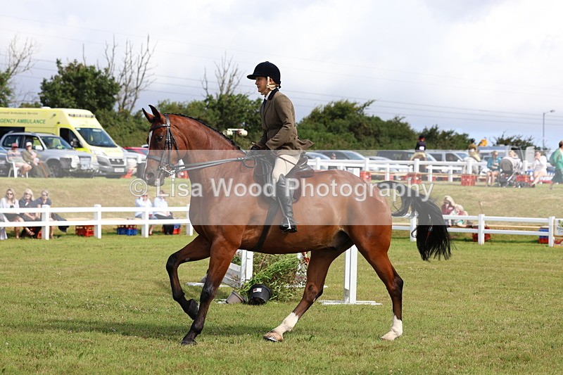 3E7A9487 - Class 4: Rising Star M/H Hunter