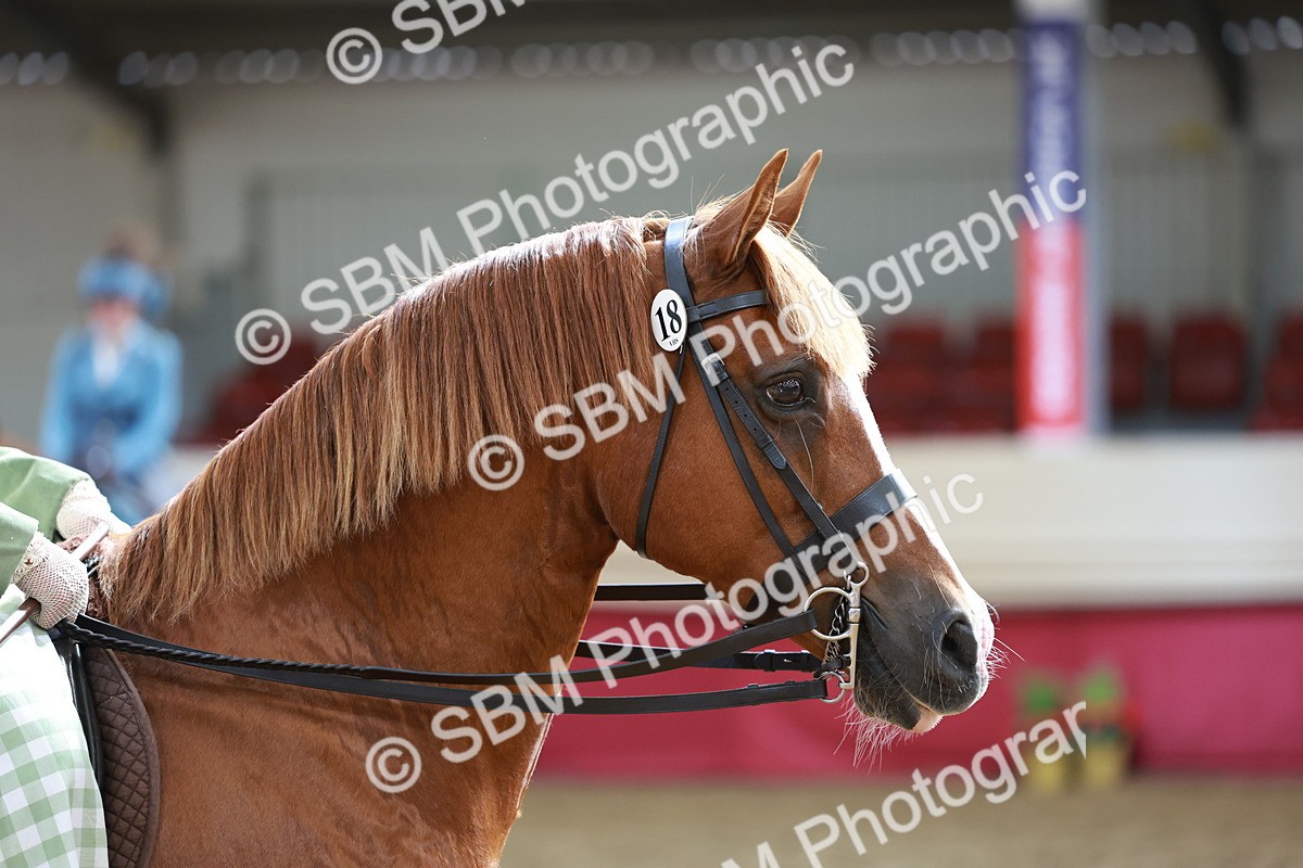 SBM_13706 - Class 106 - Ridden Costume -Astride Adult (15-19)