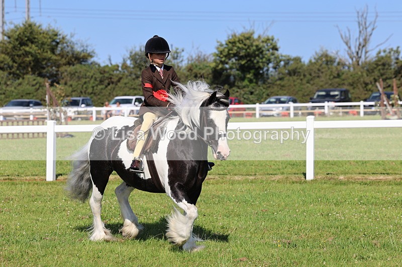 IMG_1613 - Class 30: Ridden Native/Trad Coloured Pony
