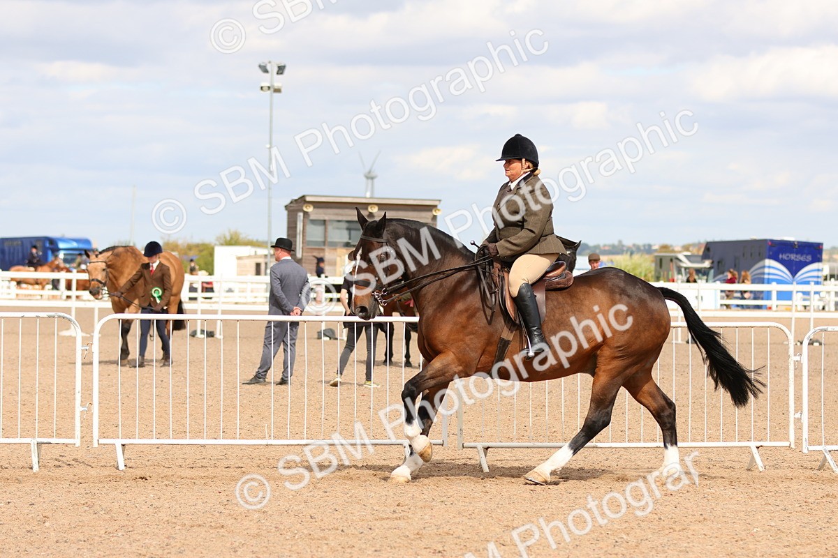 SBM_15502 - Class 214 - Ridden Show Cob