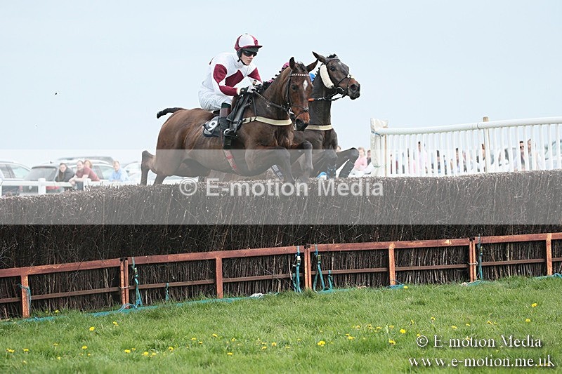 PtP 210418 195 - South & West Wilts Point-to-Point Larkhill 21/04/18