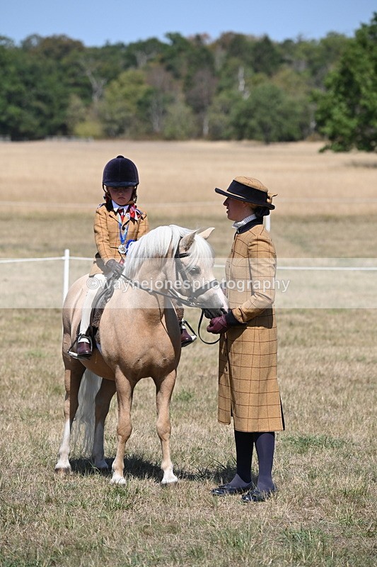 WJ6_9232 - Championship Classes 33-38