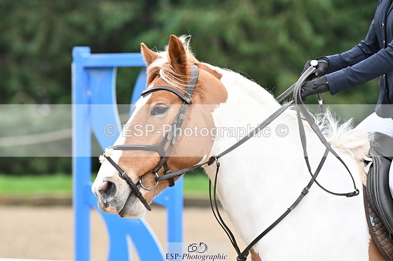 250208A-100910-00154 - Cls 2 70cm