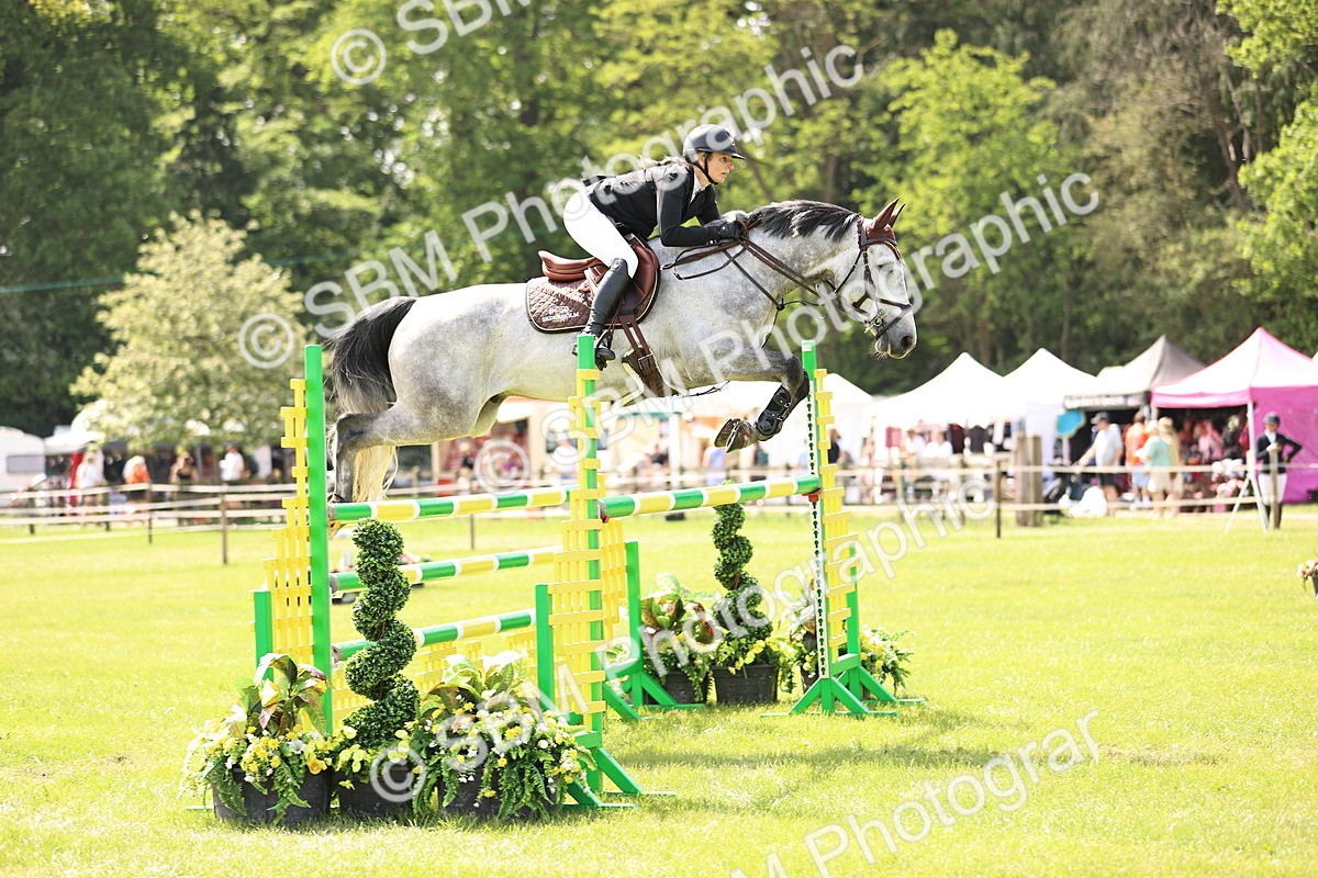 SBM_03173 - Class 201 - British Horse Feedds Speedi Beet HOYS Grade C