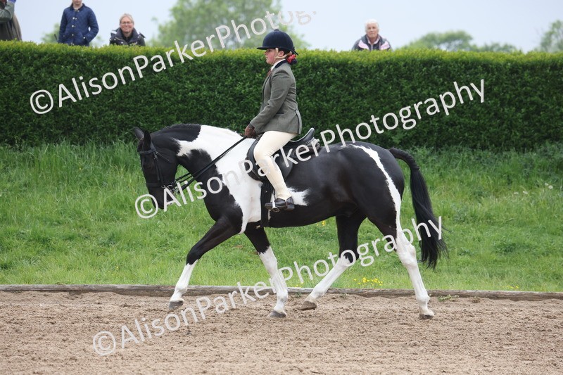 20260504-1045 - Class 14 - Cob and Hunter