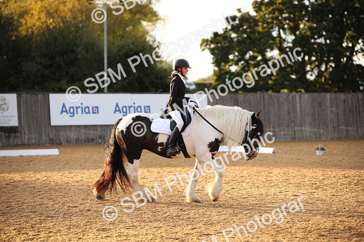 SBM_13329 - D3 Small  Tour Championship Intro A