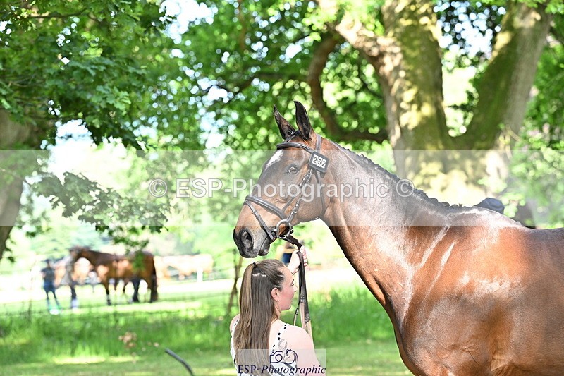 250521A-164026-01274 - C-252-Zoe.Boyles-SAM