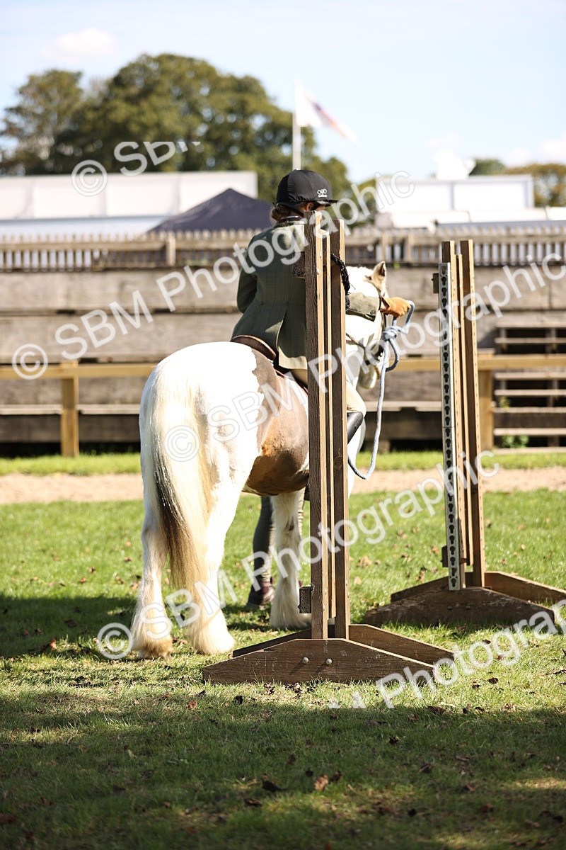 SBM_23004 - S4 - Have a Go at Working Equitation