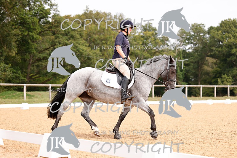 _R6A2887 - Dressage Morning