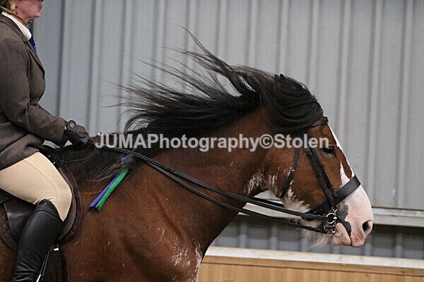 SIAL3320 - Sunday 14th Ridden