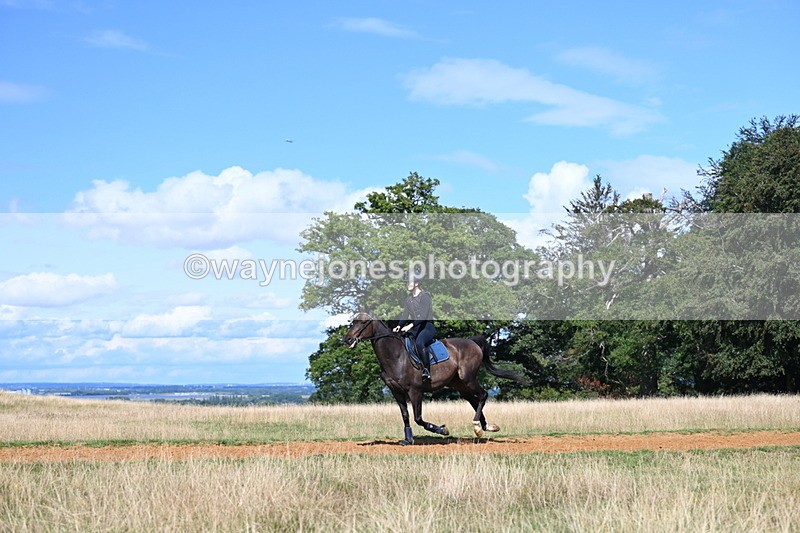 DSC_0095 - Time at Statue 15:58 to 16:05