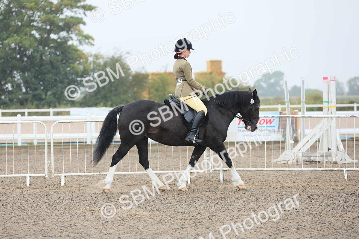 SBM_19851 - Class 801 - Ridden Veteran