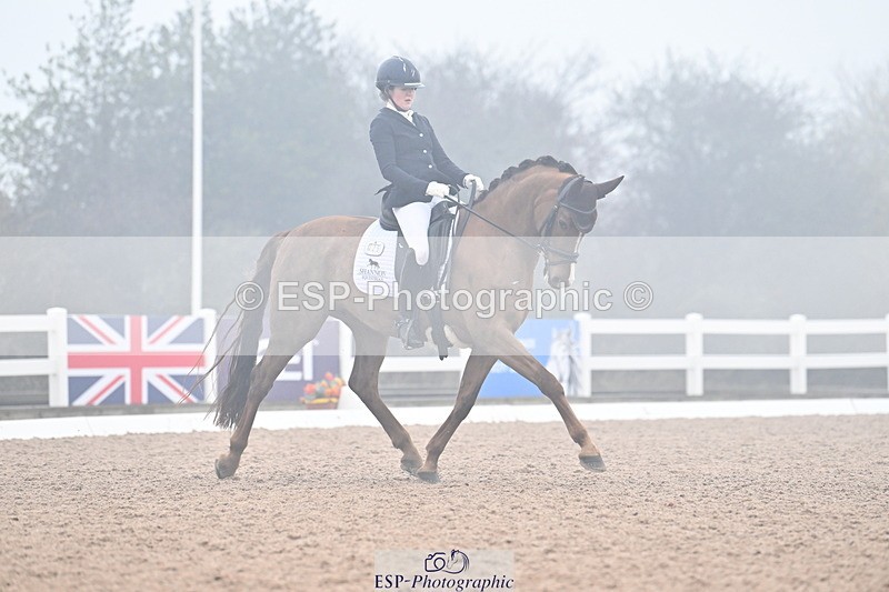 240217A-123312-02244 - 225-Lucy.Goodman-Queenie.S