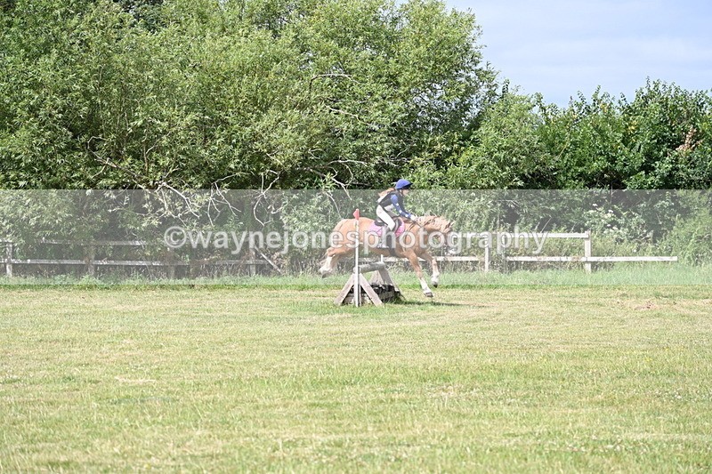 WJ6_6872 - 80cm XC Pairs