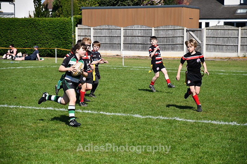  - Selby Rugby Festival 2025