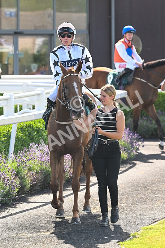 160725-Race 6-Bellarchi-9490 - Race 6