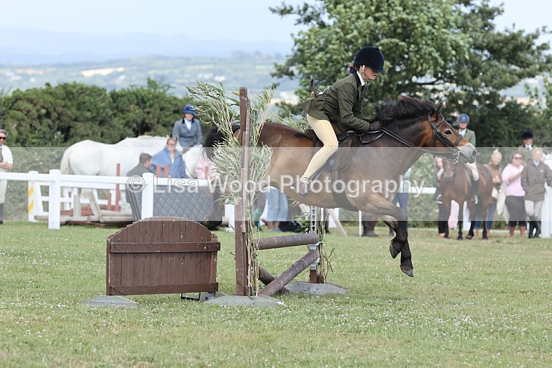 JPP_2022 - Class 19: Working Hunter 60cm