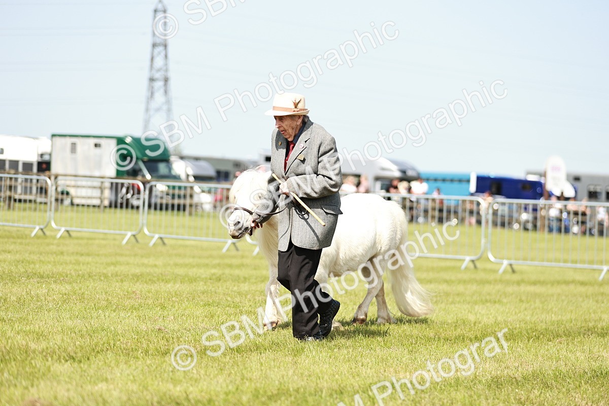 SBM_01988 - Class 14-23 - Mountain & Moorland In Hand Non Welsh