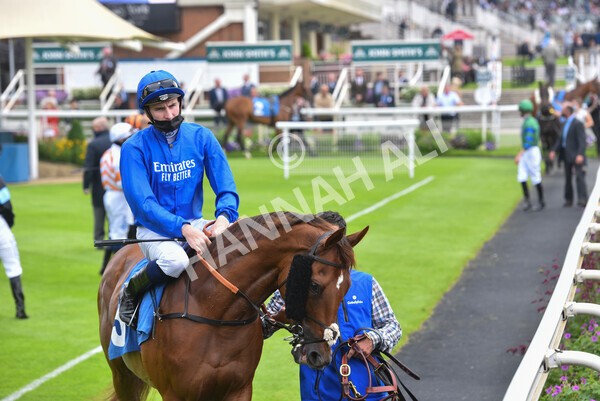 yr10072021r1-4 - Race 1: 1.45pm John Smith's Racing Stakes