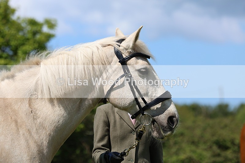 3E7A0348 - Class 19: Best Coloured in Hand