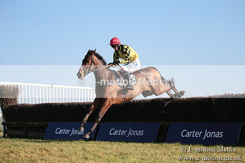 PtP 230219 359 - Vine & Craven Point-To-Point - Barbury 23/02/19