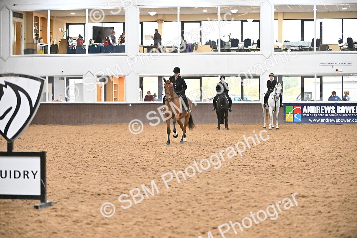 SBM_003002 - Class 37,38 - UKPSAF Performance Horse & Pony