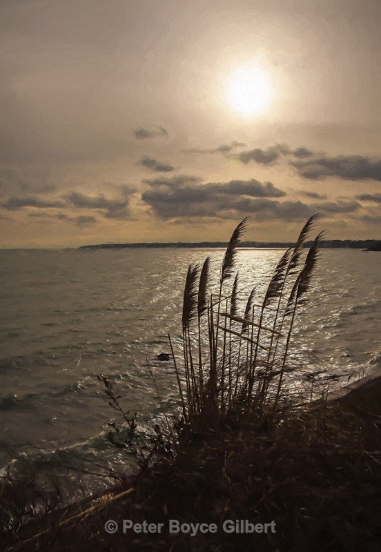 Falmouth Sunset - The Coast