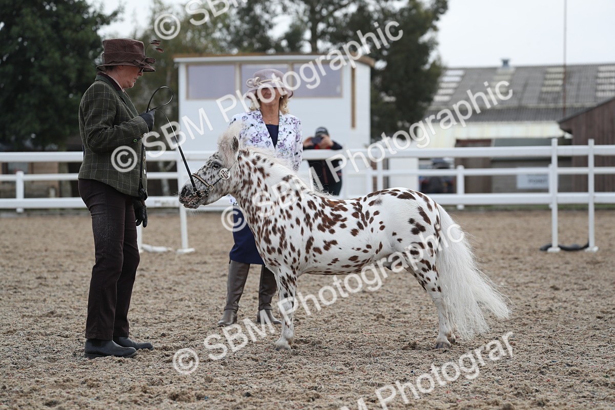 SBM_23124 - Class 605 - 2025 Area - IH Veteran
