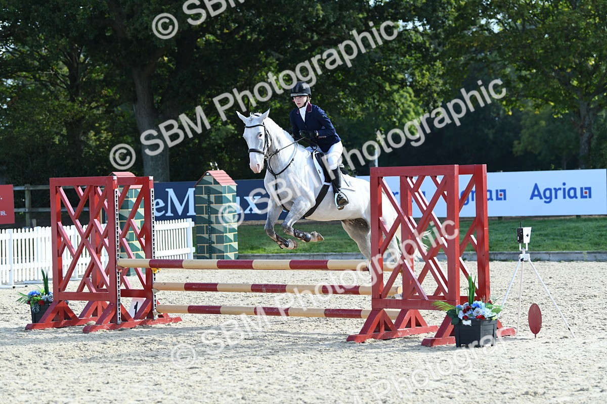 SBM_60604 - j25 - Junior Horse 80cm Championship