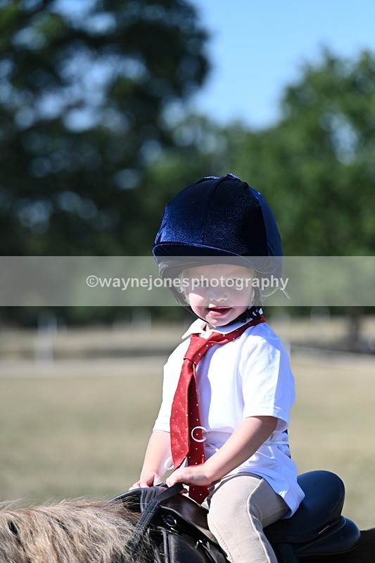 WJ7_1498 - Class 42 Most Handsome Gelding