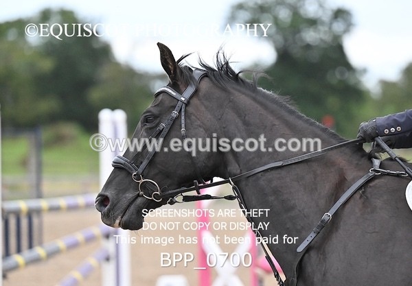 BPP_0700 - CLASS 8 Senior Newcomers/ 1.10m Open