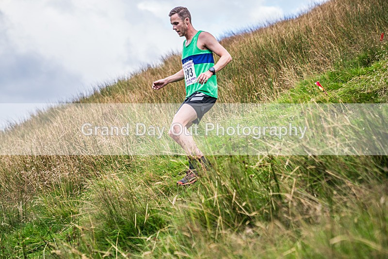 Steel Fell-482 - Steel Fell Race Wednesday 7th August 2024