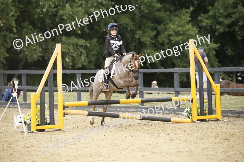 20250622-6064 - 60cm