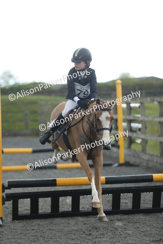 20260412-1921 - Show Jumping