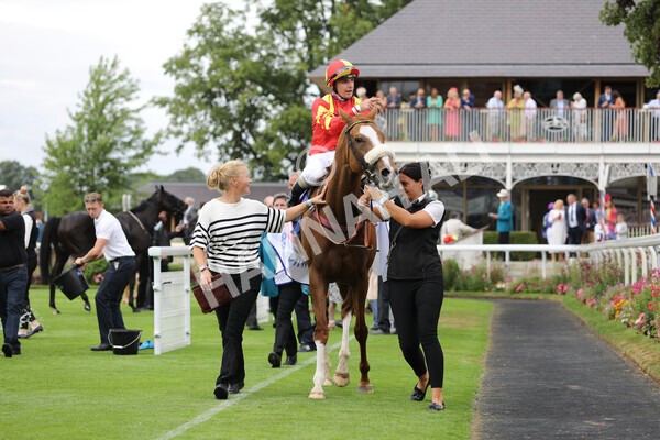 yr23072022r2-49 - Race 2 2.40pm Sky Bet Dash