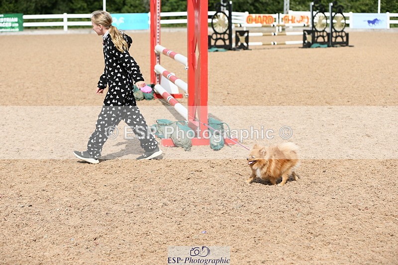 230716A-102244-02398 - Class 20 Pony Intro 70cm Open