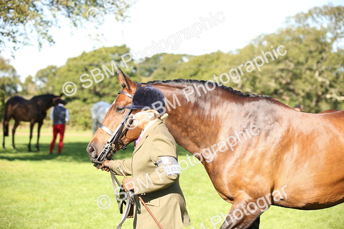 SBM_36630 - S10 - Best In Hand Horse & Pony