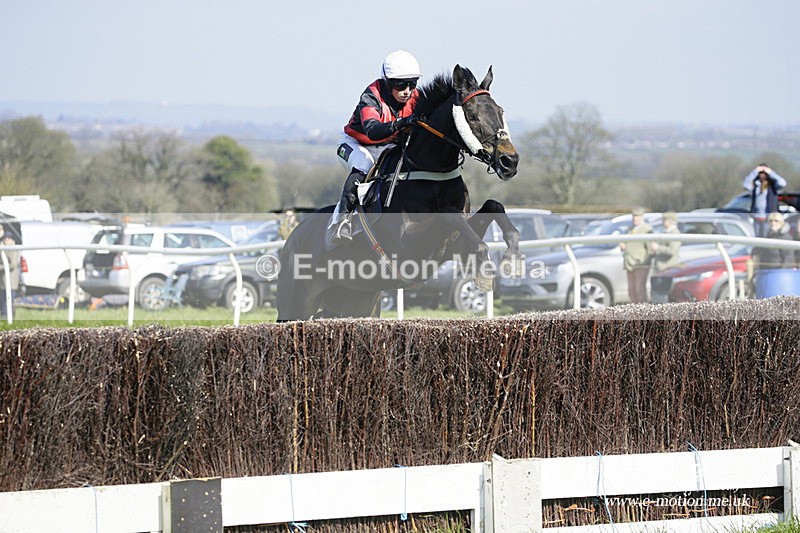 PtP 200322 46 - Mendip Farmers Point-to-Point 20/03/22