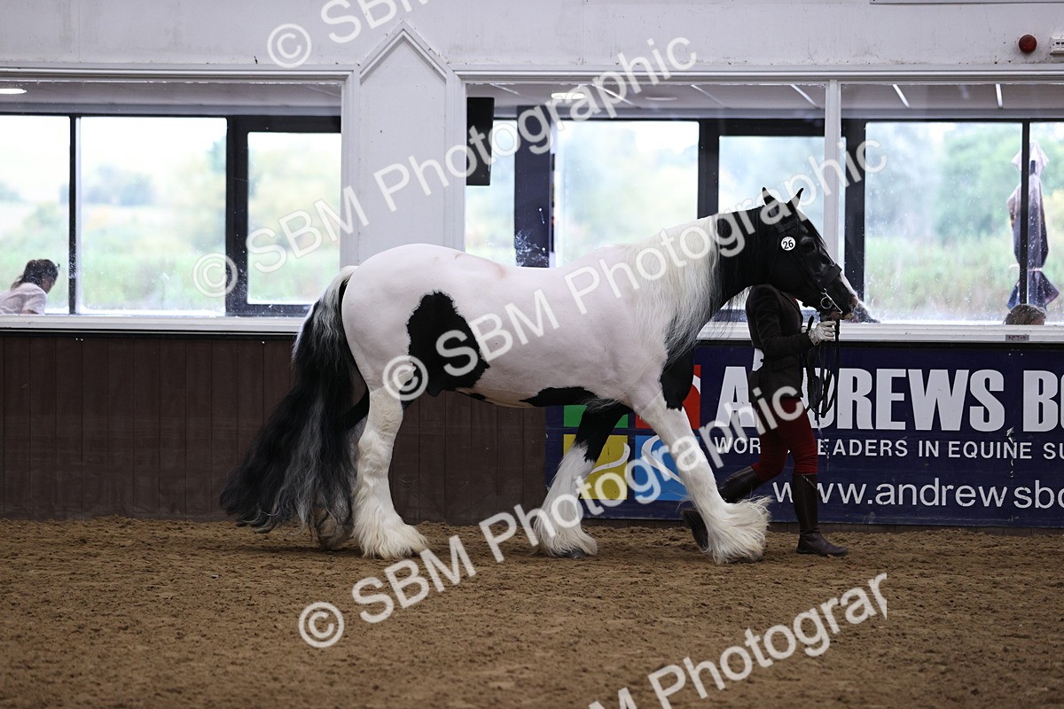 SBM_5609 - Class 40 - RESS In Hand Qualifier
