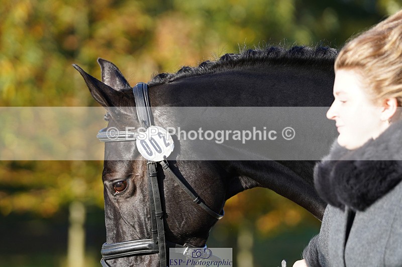 241026-100938-11659 - 002-Ellie.Fredericks-BRITANNIA'S.OLIVE