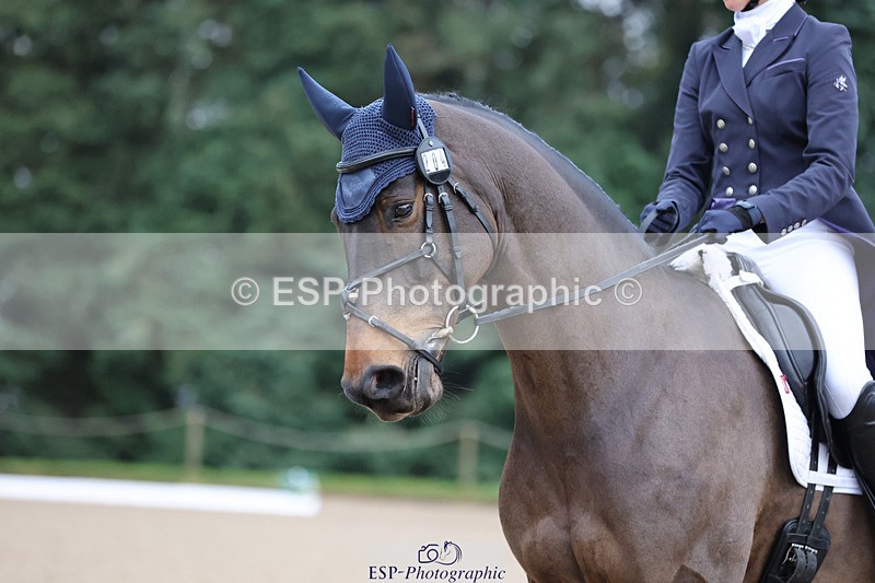 241024-091959-01256 - 204-Megan.Brown-METROPOLITAN.CLOVER