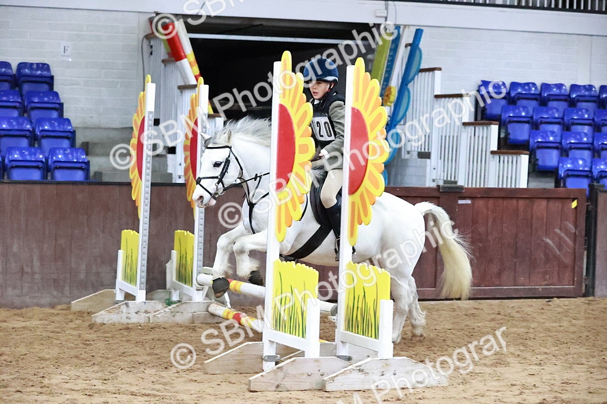 SBM_000647 - Class 2 - Show Jumping 50cm